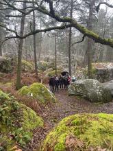  Marche en forêt au Rocher Canon12 février 2025