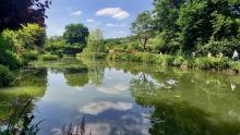 Sortie Giverny 11 juin 2025