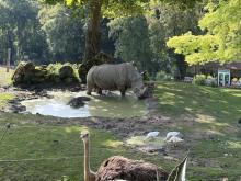 ZOO DE BEAUVAL DU 18 AU 20 JUIN 2026