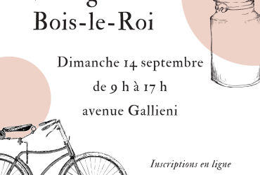 Vide-grenier