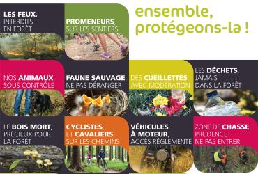 J&#039;aime la forêt