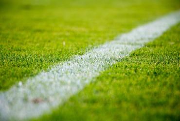 Pelouse de stade
