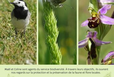 Expo biodiversité communale
