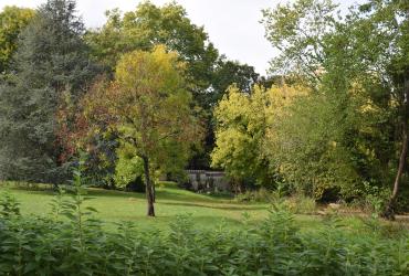 Parc de la mairie - Automne 2025