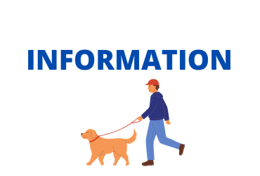 Information chien laisse