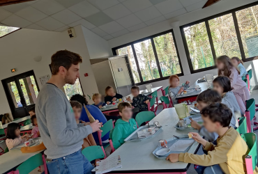 animations-api-novdec2025