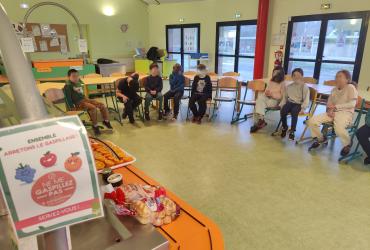 animation API - 01-2026