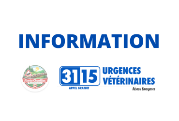 Info alerte chenilles processionnaires - vétérinaire