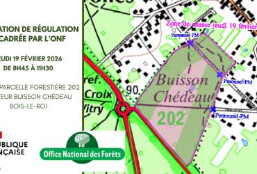 ONF Régulation 190226