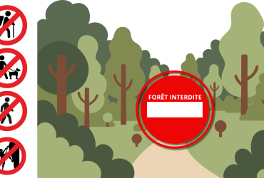 Forêt interdite